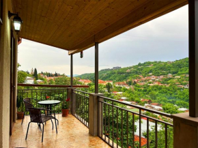 Hotel VIM in Sighnaghi